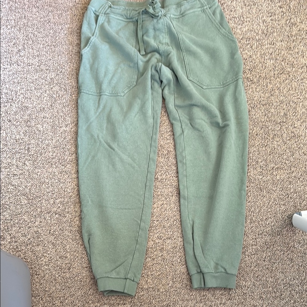 Jungmaven sweatpants in pistachio, size medium